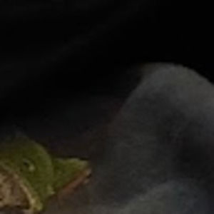 Meet your Posher, Pamela